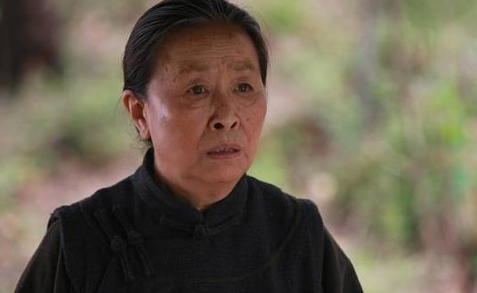 張少華個人資料簡介 老戲骨張少華圖片 張少華演過的電視劇
