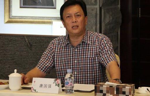 唐國強個人資料簡介 演員唐國強圖片 唐國強演過的電視劇