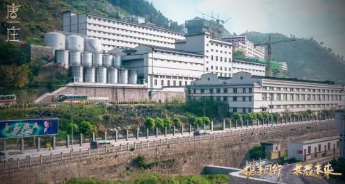 唐莊酒業實力圈粉,攜手楊爍傳承醬酒文化