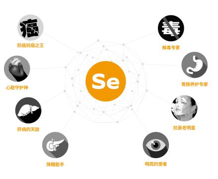 暨南大學孵化科技企業暨創硒源科研成果豐碩 搶占硒產業新風口