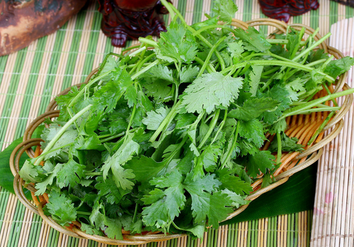 感冒病人飲食要適量-感冒不能吃什么？