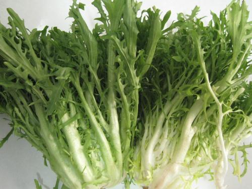 苦菊的營養(yǎng)價(jià)值-苦菊有什么功效