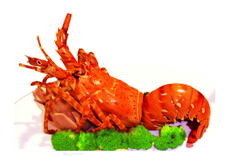 龍蝦有哪些功效和作用？龍蝦的營(yíng)養(yǎng)價(jià)值