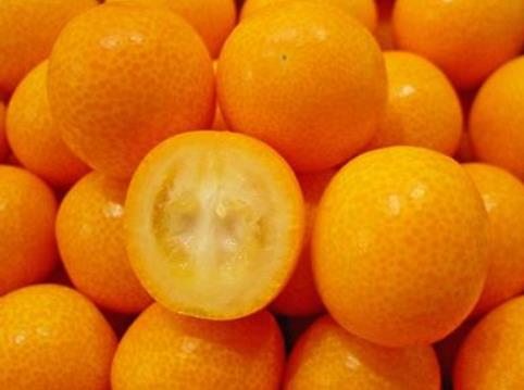 金桔的營(yíng)養(yǎng)價(jià)值、功效與作用、食用禁忌