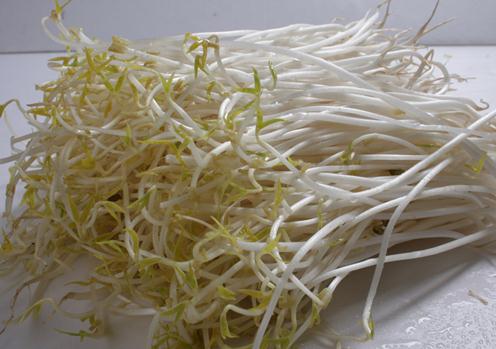 如何挑選優(yōu)質(zhì)豆芽？豆芽的挑選方法