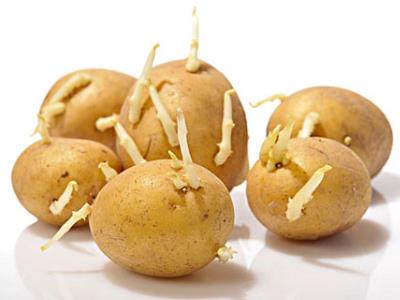 食物不能食用的部位？吃什么會(huì)食物中毒
