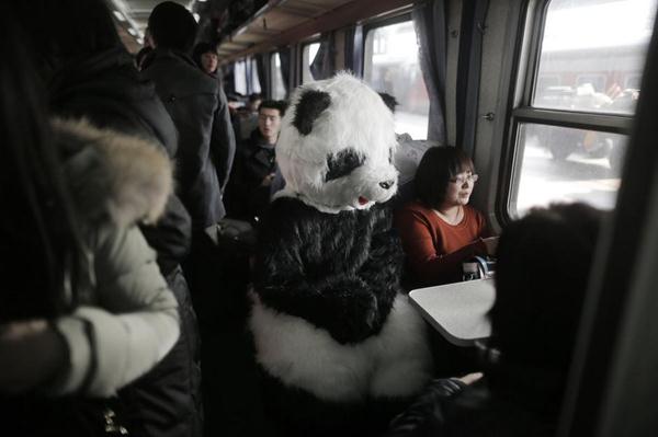 行為藝術？旅客穿熊貓玩偶服扮成大熊貓體驗春運遭圍觀