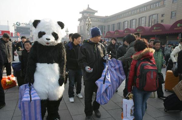 行為藝術？旅客穿熊貓玩偶服扮成大熊貓體驗春運遭圍觀