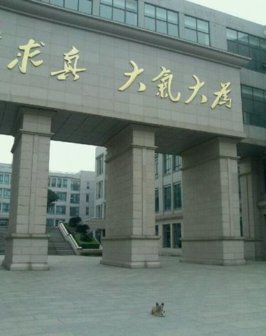 “學(xué)霸狗”電子科技大學(xué)蹭課走紅，最愛英語和概率網(wǎng)友力挺讀研
