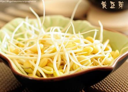 孕婦能吃黃豆芽嗎？孕婦吃黃豆芽的做法