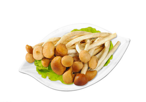 產婦能吃茶樹菇嗎-產婦吃茶樹菇的禁忌