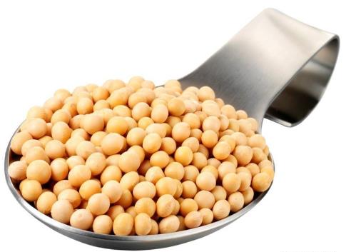 哺乳期能吃黃豆？哺乳期吃黃豆的做法