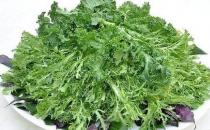 野菜可以吃嗎？孕婦吃野菜有什么好處？