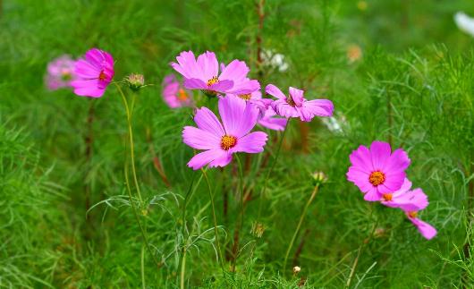 三種拍臉方法讓你擺脫大餅臉!