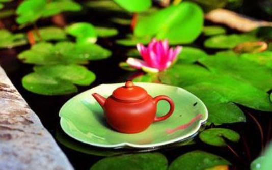 荷葉茶有什么功效-荷葉茶怎么喝效果好？