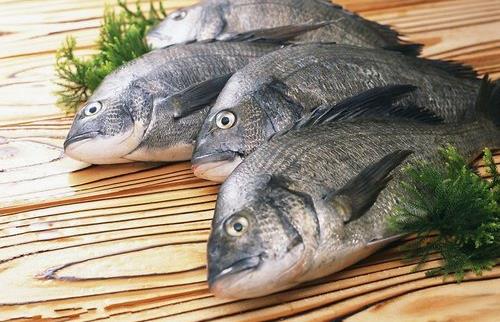 魚的哪些部位比較有營養？洗魚有什么技巧？