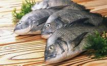 魚(yú)的哪些部位比較有營(yíng)養(yǎng)？洗魚(yú)有什么技巧？
