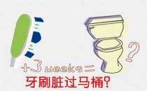 牙刷和口紅真的臟過馬桶？