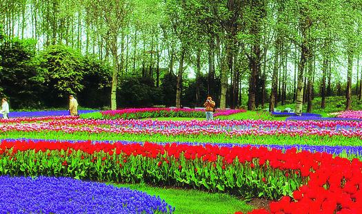 露臺(tái)花園怎么設(shè)計(jì)？露臺(tái)花園的設(shè)計(jì)原則