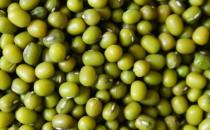 吃什么去濕？盤點10種清熱去濕的食物