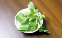 營養豐富的薄荷 介紹4款薄荷的食療藥膳方