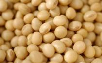 吃什么對乳房好？保護(hù)乳房的食物推薦