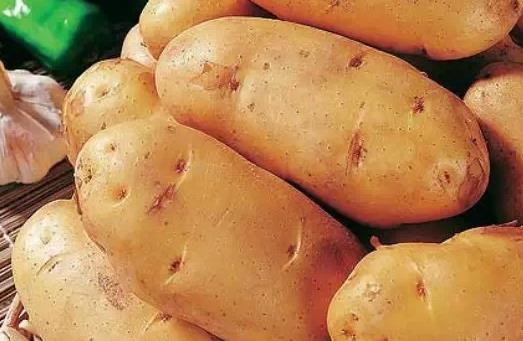 吃土豆有什么好處？土豆怎么吃最營(yíng)養(yǎng)？