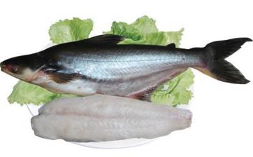 鱈魚_鱈魚的營養價值,營養成分,功效與作用,鱈魚的做法大全