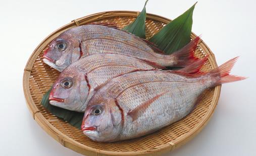 魚(yú)類(lèi)的5大功效你知道嗎？