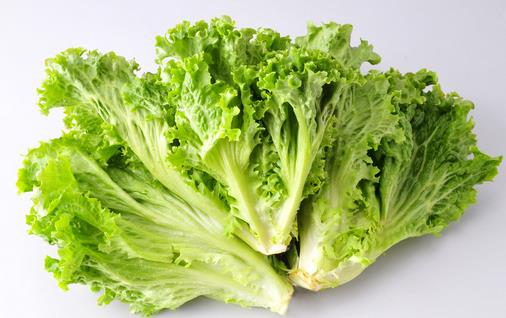 生菜的功效與簡(jiǎn)單做法