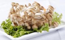 真姬菇的營養價值 真姬菇的做法