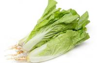 小白菜怎么做？小白菜的簡介