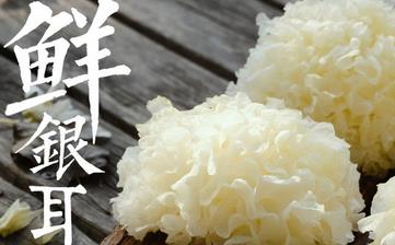 【銀耳】_銀耳的營(yíng)養(yǎng)價(jià)值,銀耳的功效,銀耳怎么做,銀耳的做法大全