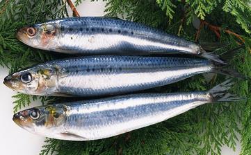 【青魚】_青魚的營養價值,青魚怎么做好吃,青魚的做法大全