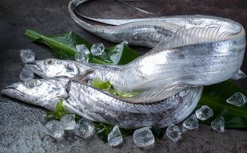 【帶魚】_帶魚的營養價值,帶魚怎么做好吃,帶魚的家常做法大全 【帶魚】_帶魚的營養價值,帶魚怎么做好吃,帶魚的家常做法大全