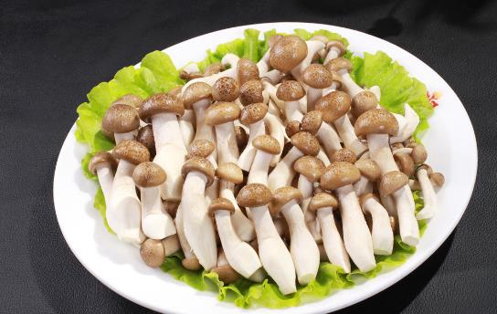 鮮味會(huì)讓人胃口更好嗎？