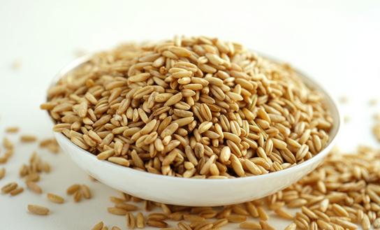 購(gòu)買燕麥還是燕麥片比較好？