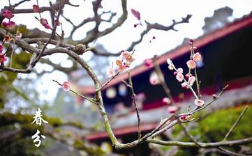 【春分節氣】春分是幾月幾日_春分吃什么_春分養生_春分是什么意思