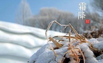 【霜降節氣】霜降是幾月幾日_霜降吃什么_霜降養生_霜降是什么意思 【霜降節氣】霜降是幾月幾日_霜降吃什么_霜降養生_霜降是什么意思