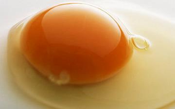 【雞蛋黃】蛋黃的營(yíng)養(yǎng)價(jià)值及功效與作用_吃蛋黃的好處和禁忌