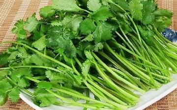 【香菜】香菜的營養價值_香菜怎么做好吃_香菜的做法大全_孕婦能吃香菜嗎