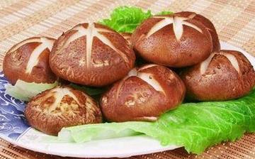 【香菇】香菇的營養價值_香菇怎么做好吃_香菇的做法大全_孕婦能吃香菇嗎