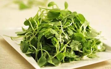 【豌豆苗】豌豆苗的營養價值_豌豆苗怎么做好吃_豌豆苗的做法大全