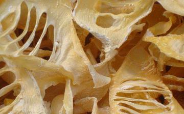 【玉蘭片】玉蘭片的營養價值_玉蘭片怎么做好吃_玉蘭片的做法大全