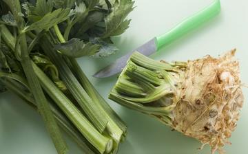 【根芹】根芹的功效與作用營(yíng)養(yǎng)價(jià)值_根芹怎么做好吃_根芹的做法大全 【根芹】根芹的功效與作用營(yíng)養(yǎng)價(jià)值_根芹怎么做好吃_根芹的做法大全