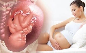 【胎位不正】孕婦胎位不正怎么辦_胎位不正能順產嗎_胎位不正臨床表現 【胎位不正】孕婦胎位不正怎么辦_胎位不正能順產嗎_胎位不正臨床表現