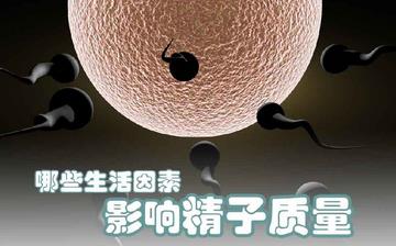 【精子質量】精子質量差有什么表現_提高精子質量的方法