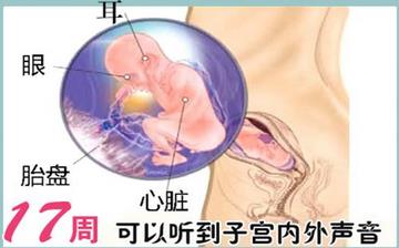 【懷孕17周】懷孕17周癥狀_懷孕17周胎兒圖片_B超數(shù)據(jù)_懷孕17周吃什么補身體 【懷孕17周】懷孕17周癥狀_懷孕17周胎兒圖片_B超數(shù)據(jù)_懷孕17周吃什么補身體