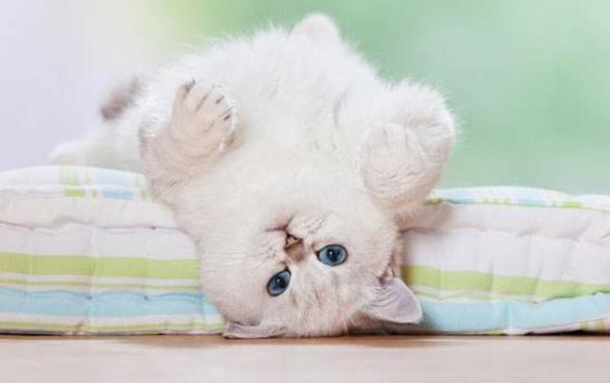 落枕是啥？落枕了怎么辦？