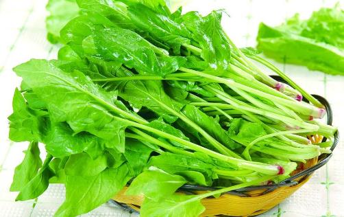 孕媽飲食很關(guān)鍵 孕期吃哪些食物會(huì)傷害胎兒
